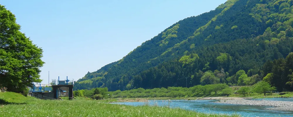 自然豊かな場所