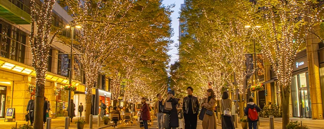 イルミネーションの画像